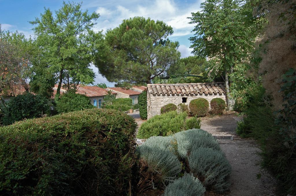 Cyprès du Paradis à Gordes Esterno foto